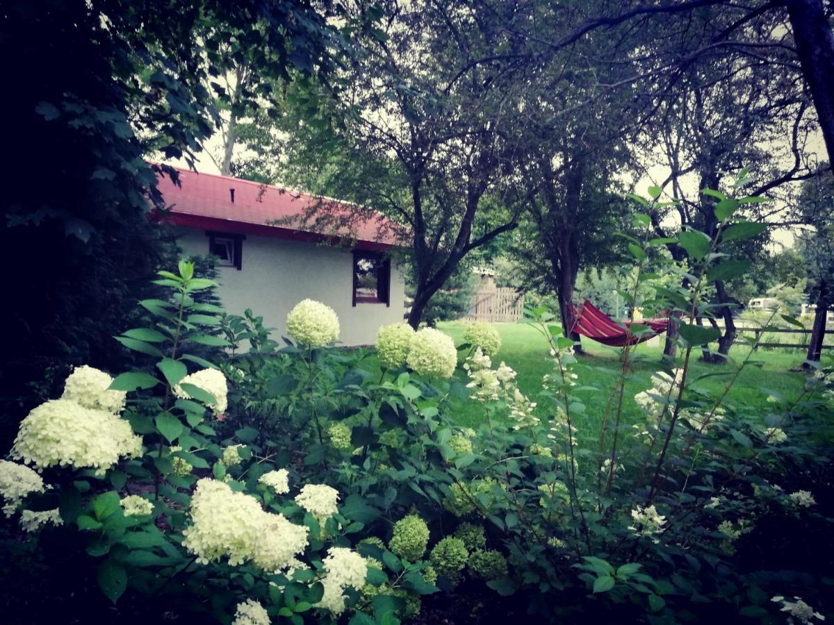 Babie Lato Villa Wlodarka Bagian luar foto
