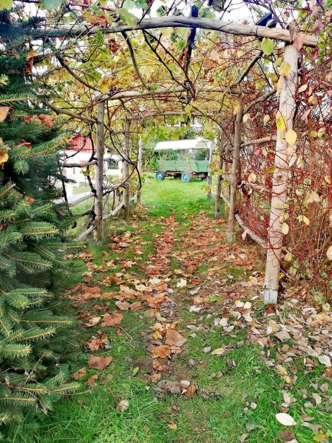 Babie Lato Villa Wlodarka Bagian luar foto