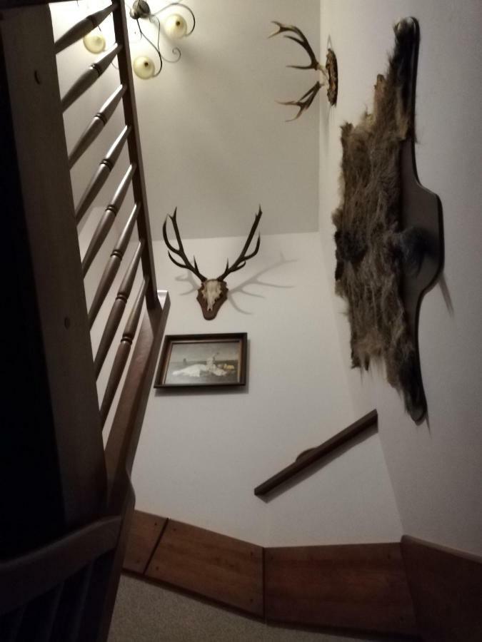 Babie Lato Villa Wlodarka Bagian luar foto