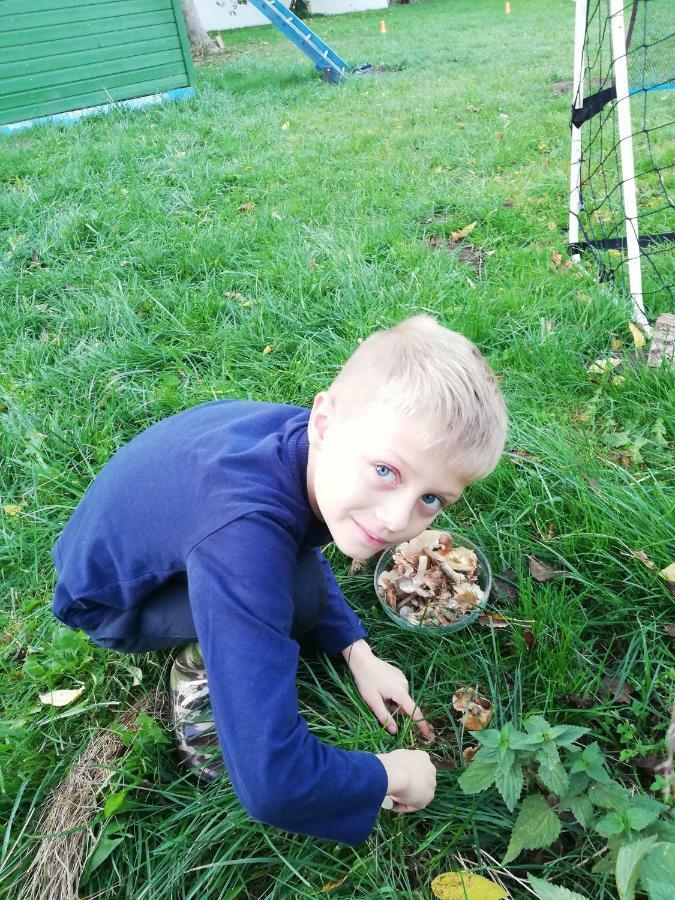 Babie Lato Villa Wlodarka Bagian luar foto