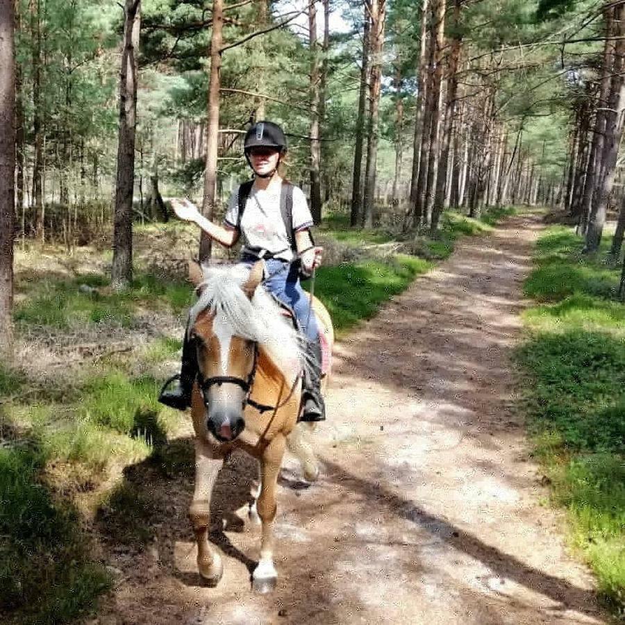 Babie Lato Villa Wlodarka Bagian luar foto
