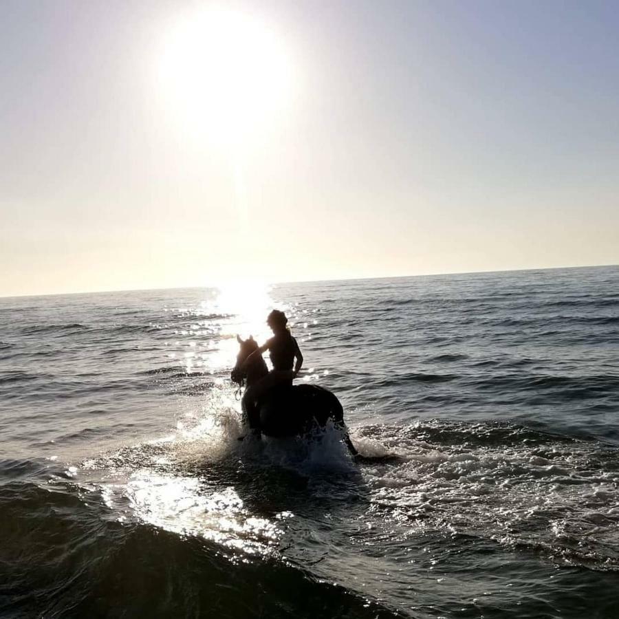 Babie Lato Villa Wlodarka Bagian luar foto